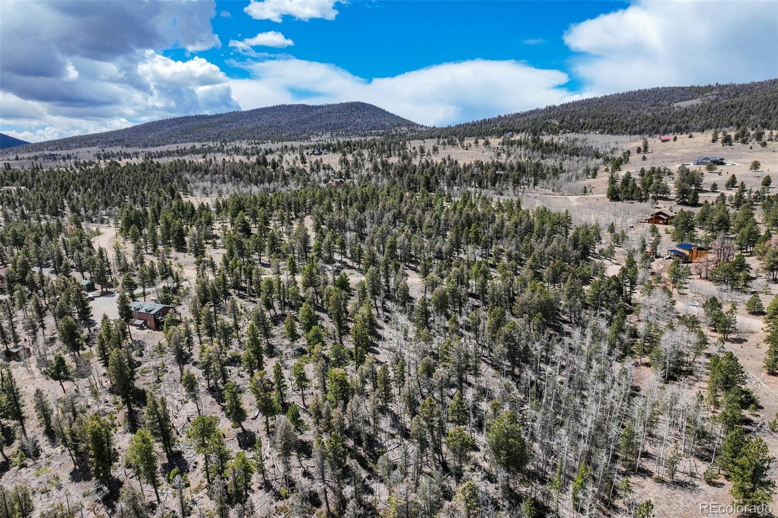 1430 Singletree Road Hartsel CO 80449