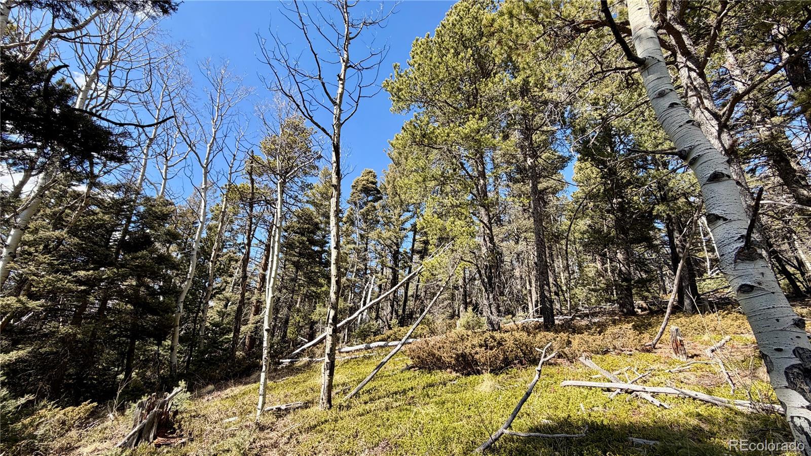 2796 Moir Drive Fort Garland CO 81133