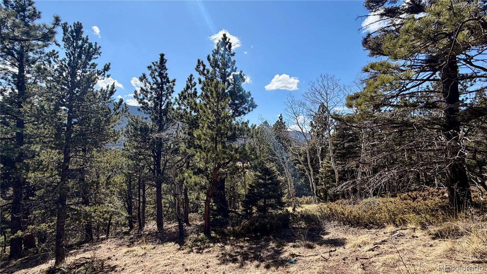 2796 Moir Drive Fort Garland CO 81133