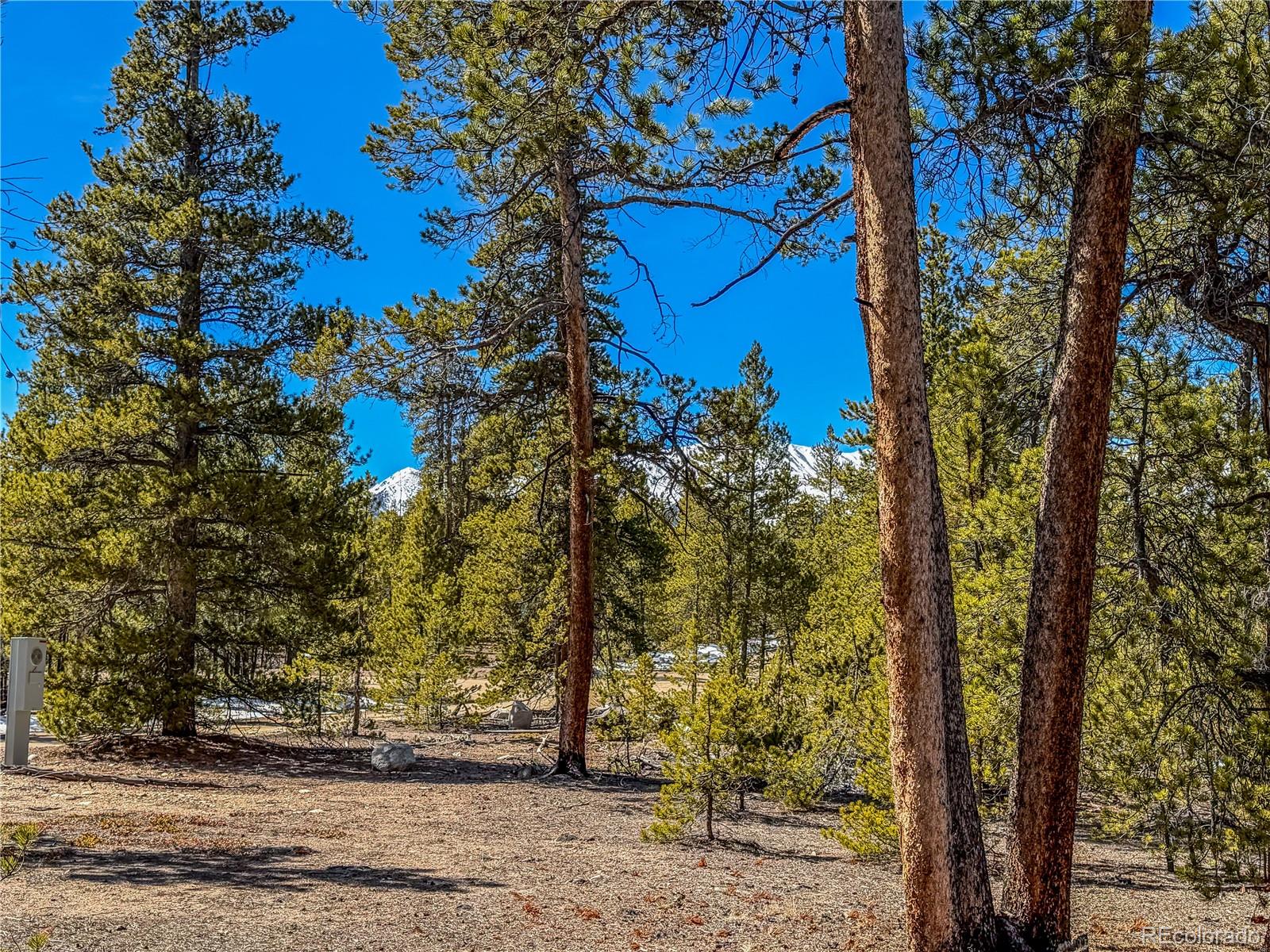 199 Cedar Drive Twin Lakes CO 81251