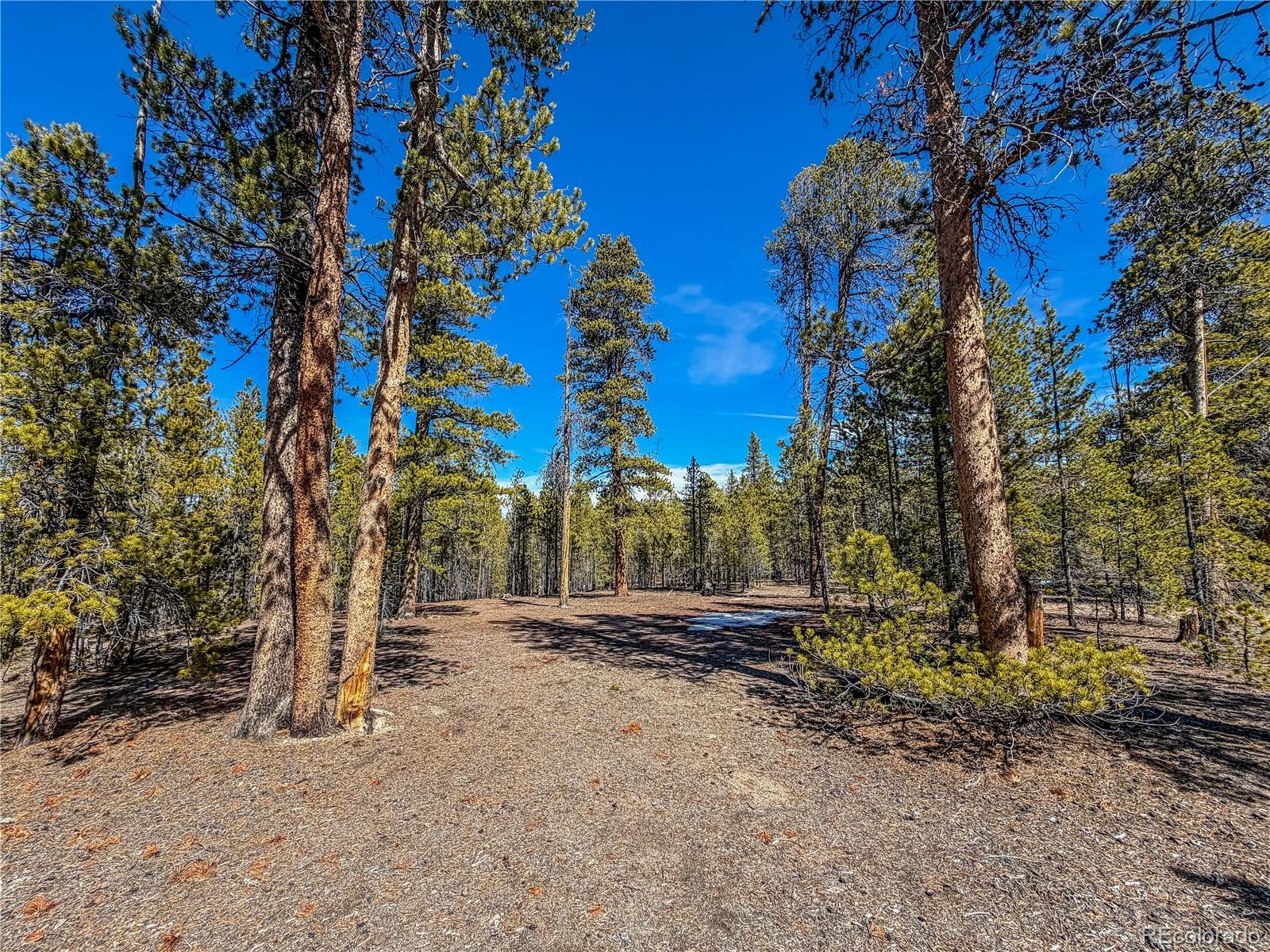 199 Cedar Drive Twin Lakes CO 81251
