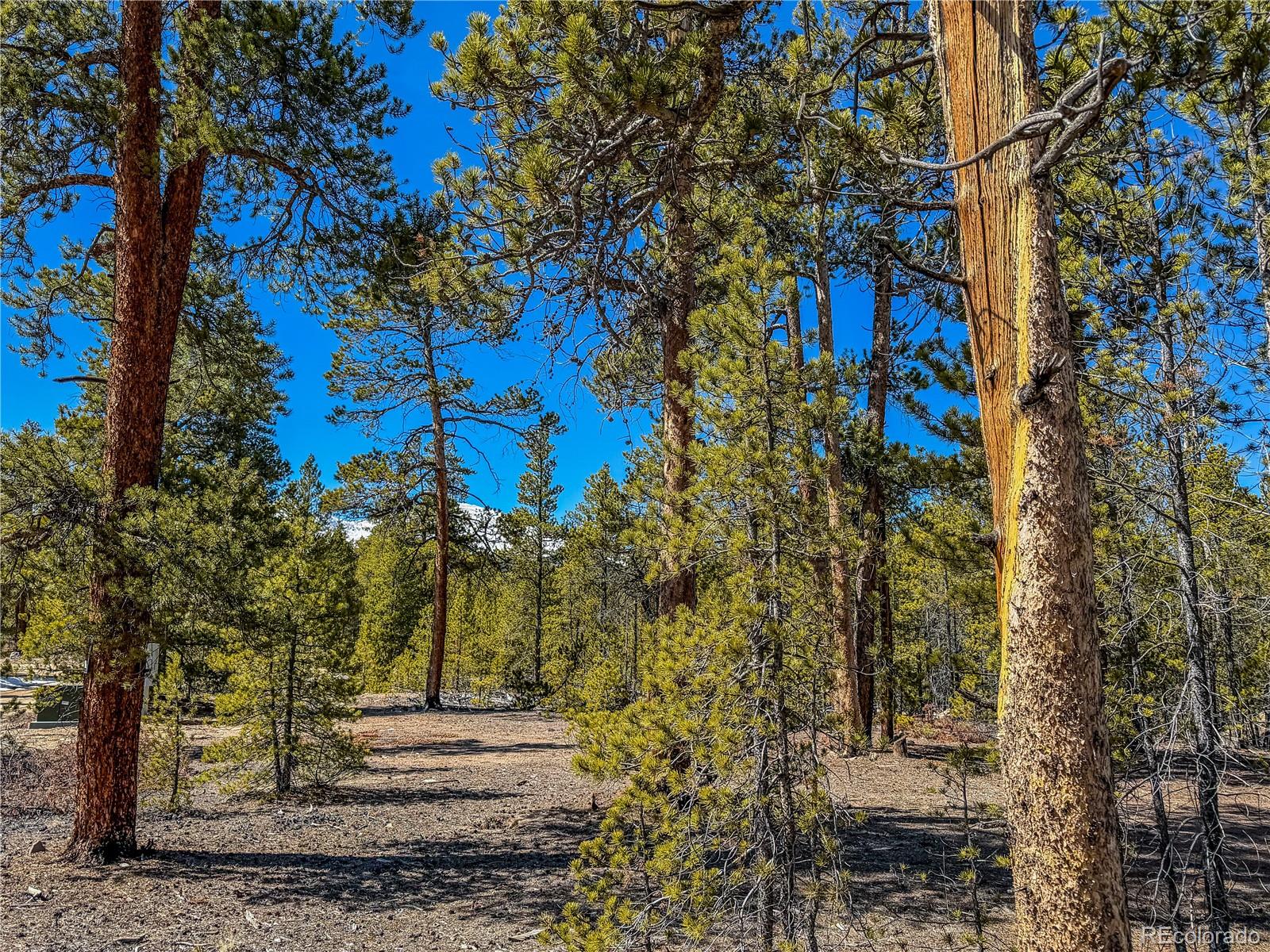 199 Cedar Drive Twin Lakes CO 81251