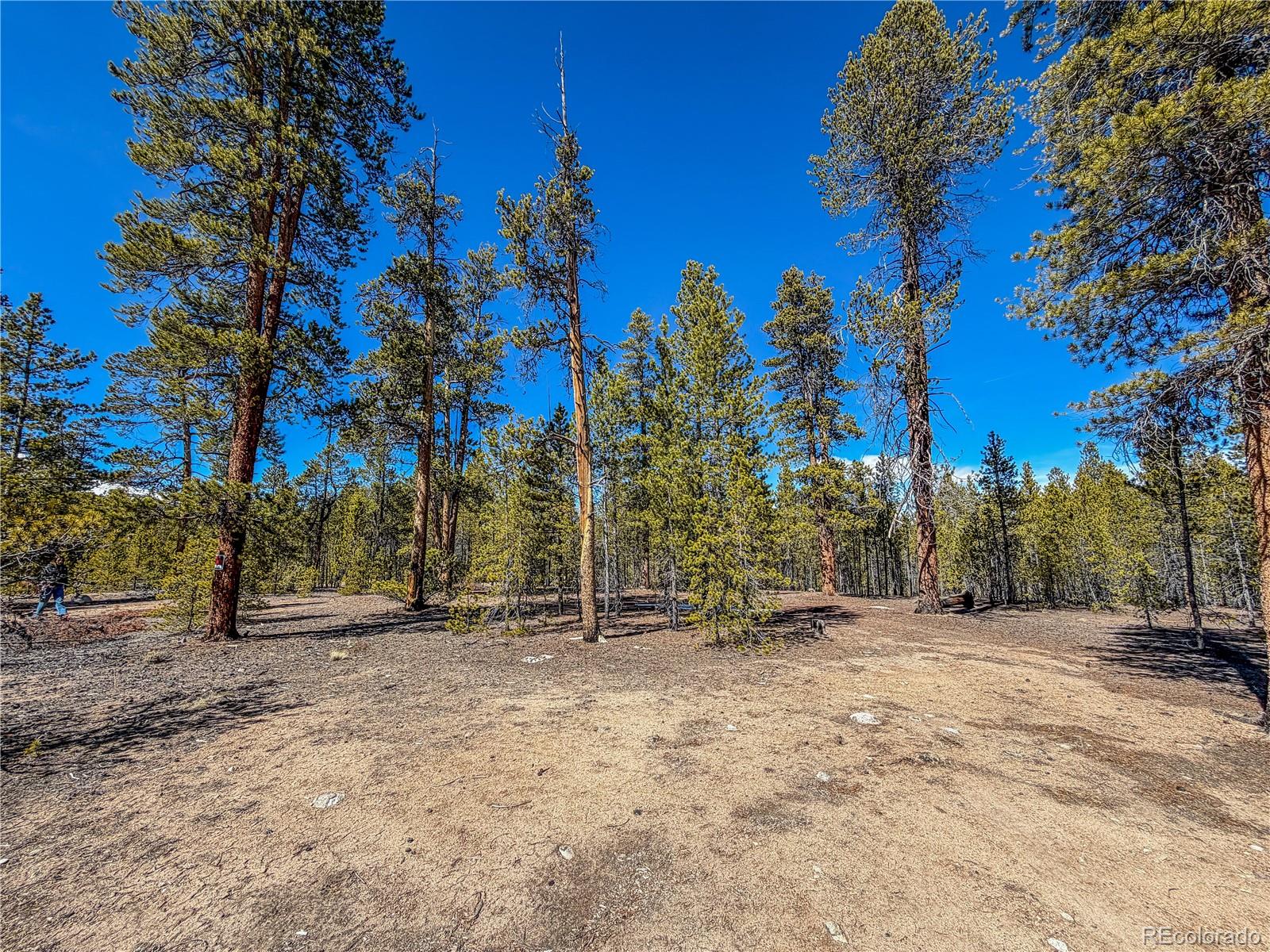 199 Cedar Drive Twin Lakes CO 81251