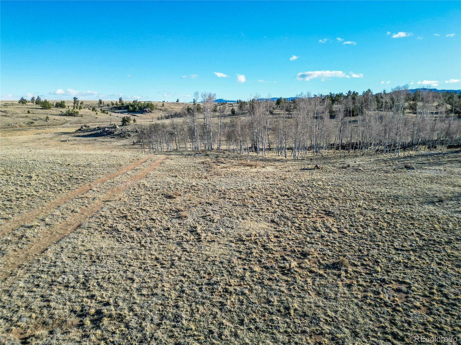 411 Bandalier Drive Hartsel CO 80449
