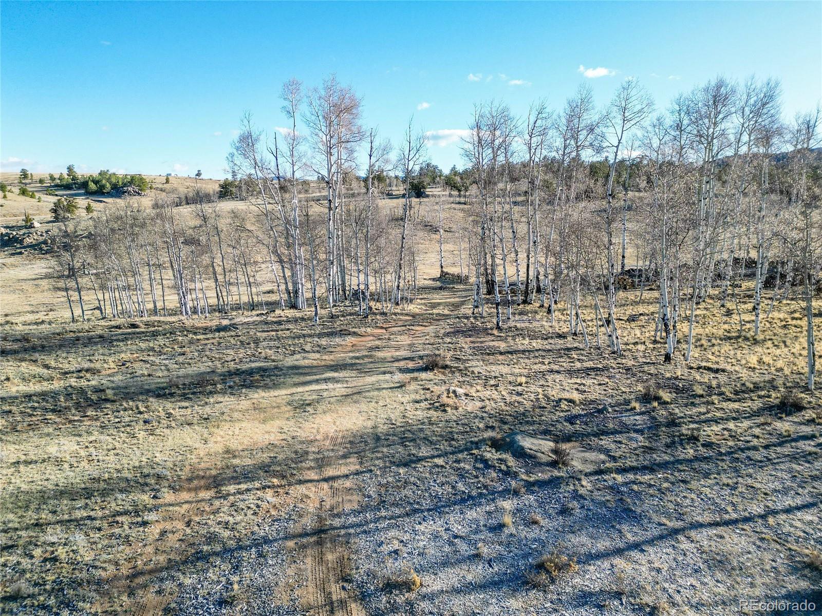 411 Bandalier Drive Hartsel CO 80449