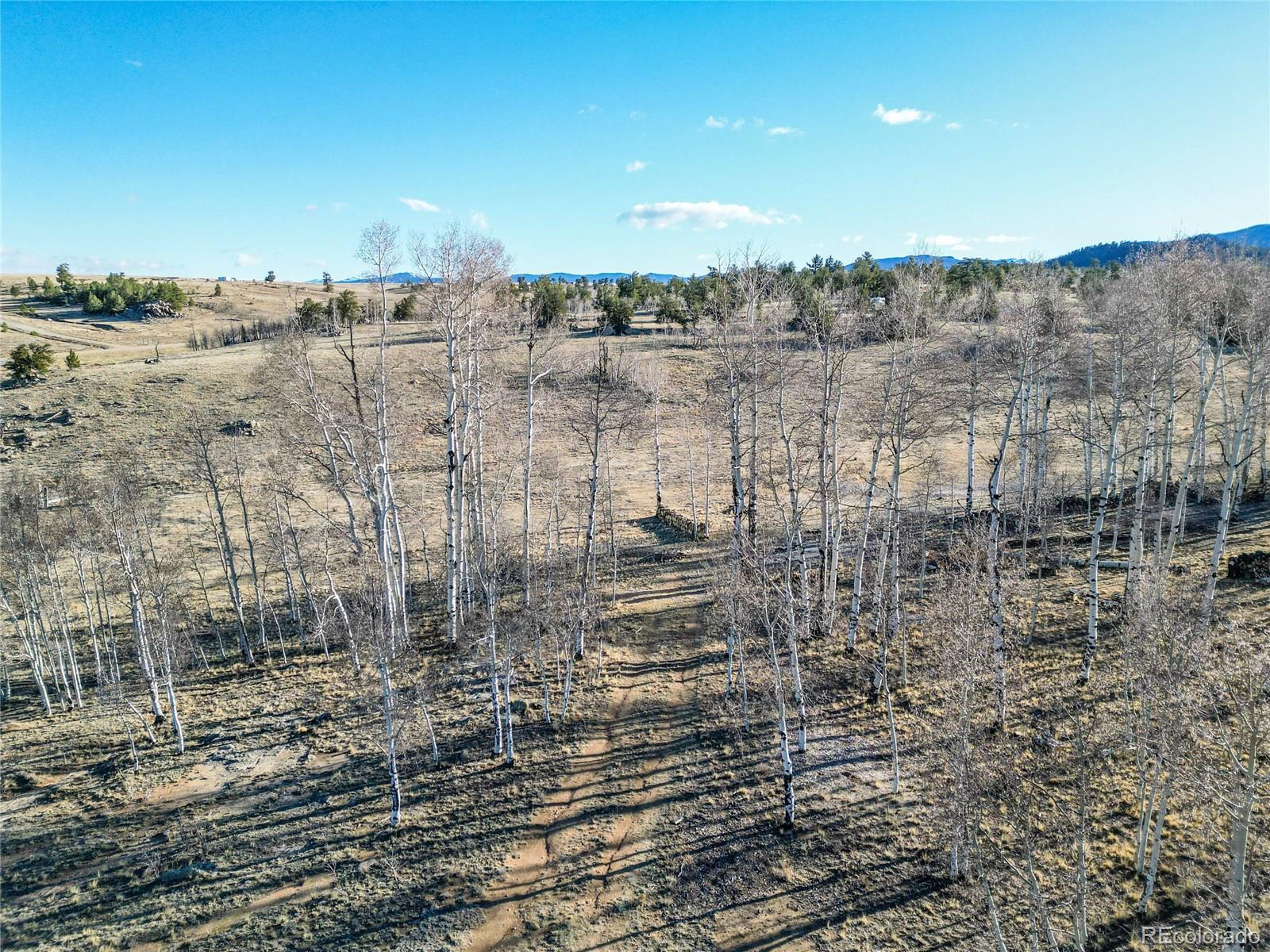 411 Bandalier Drive Hartsel CO 80449