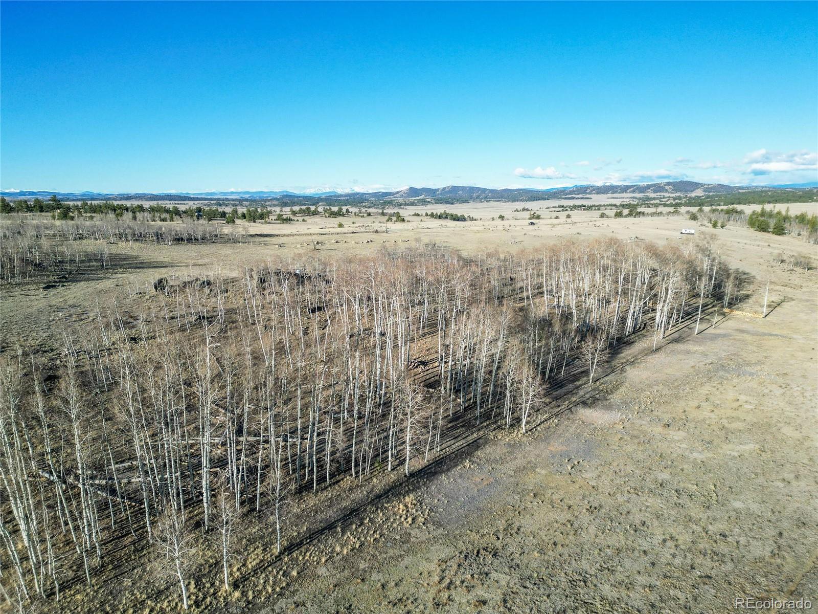 411 Bandalier Drive Hartsel CO 80449
