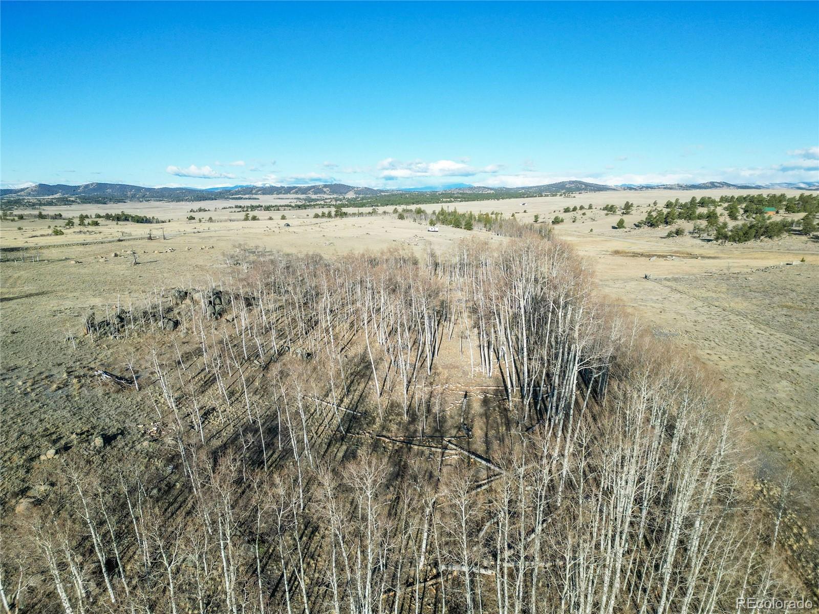 411 Bandalier Drive Hartsel CO 80449