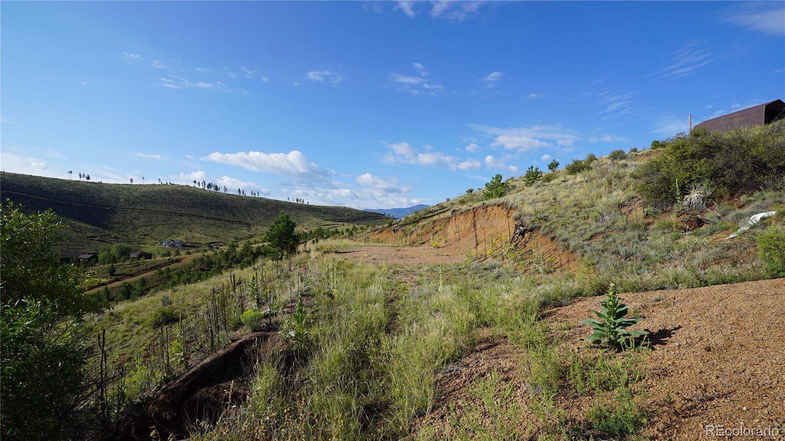15831 S Sioux Road Pine CO 80470