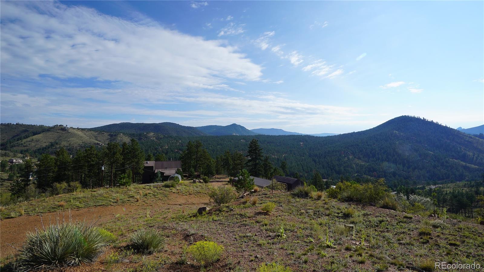 15831 S Sioux Road Pine CO 80470