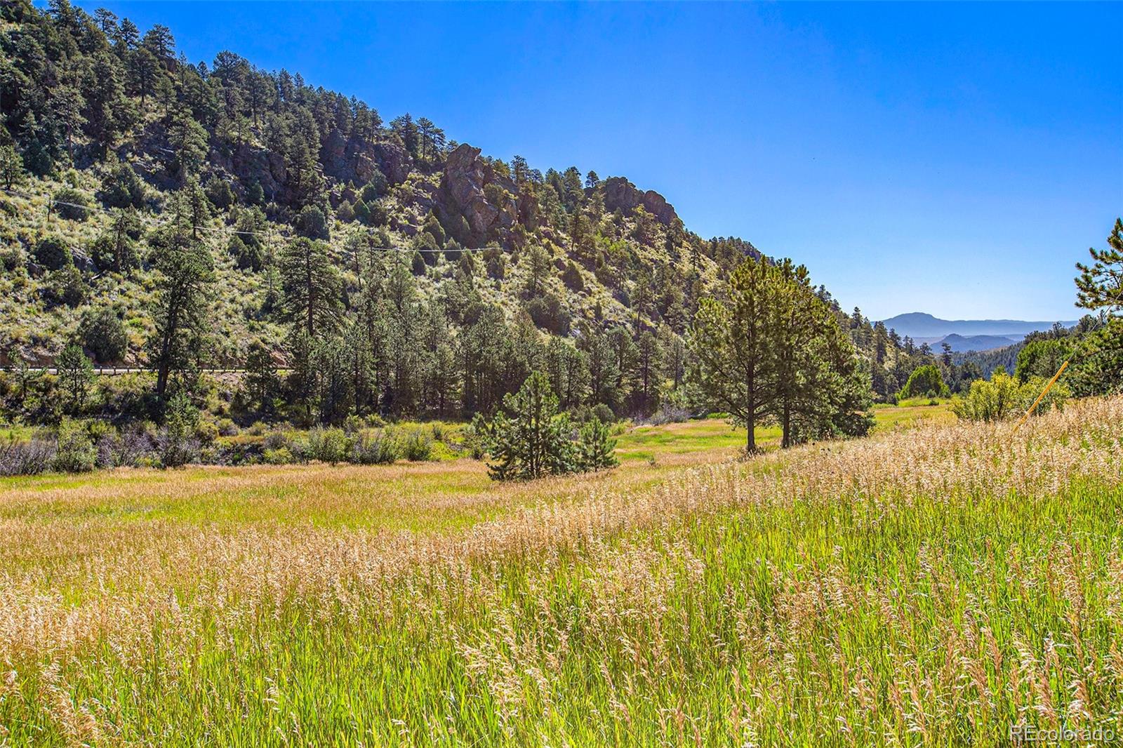 14334 Reserve Road Pine CO 80470