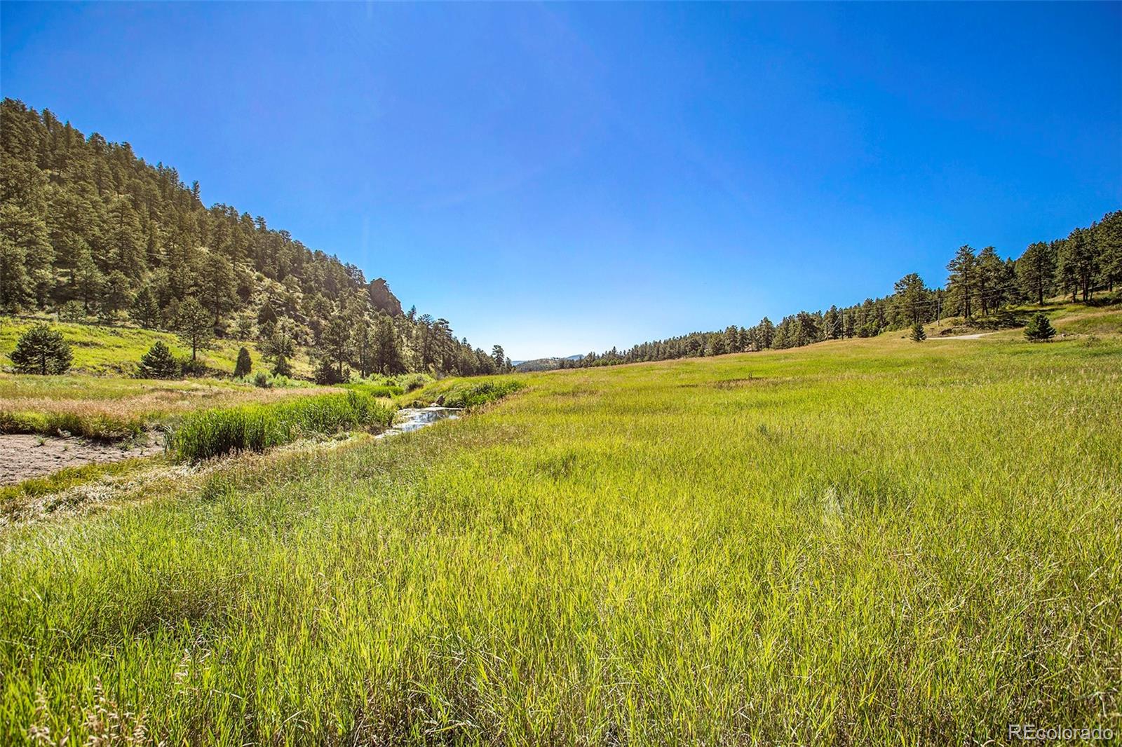 14334 Reserve Road Pine CO 80470
