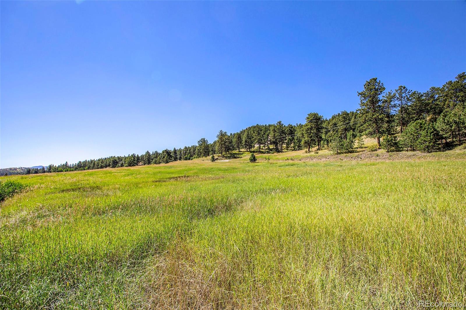 14334 Reserve Road Pine CO 80470