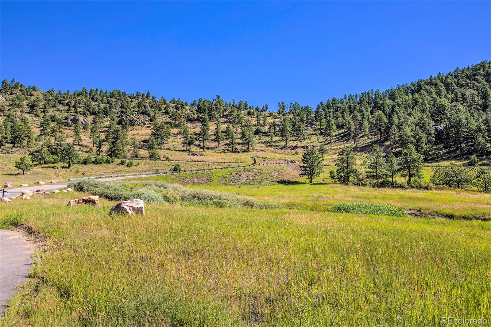 14334 Reserve Road Pine CO 80470