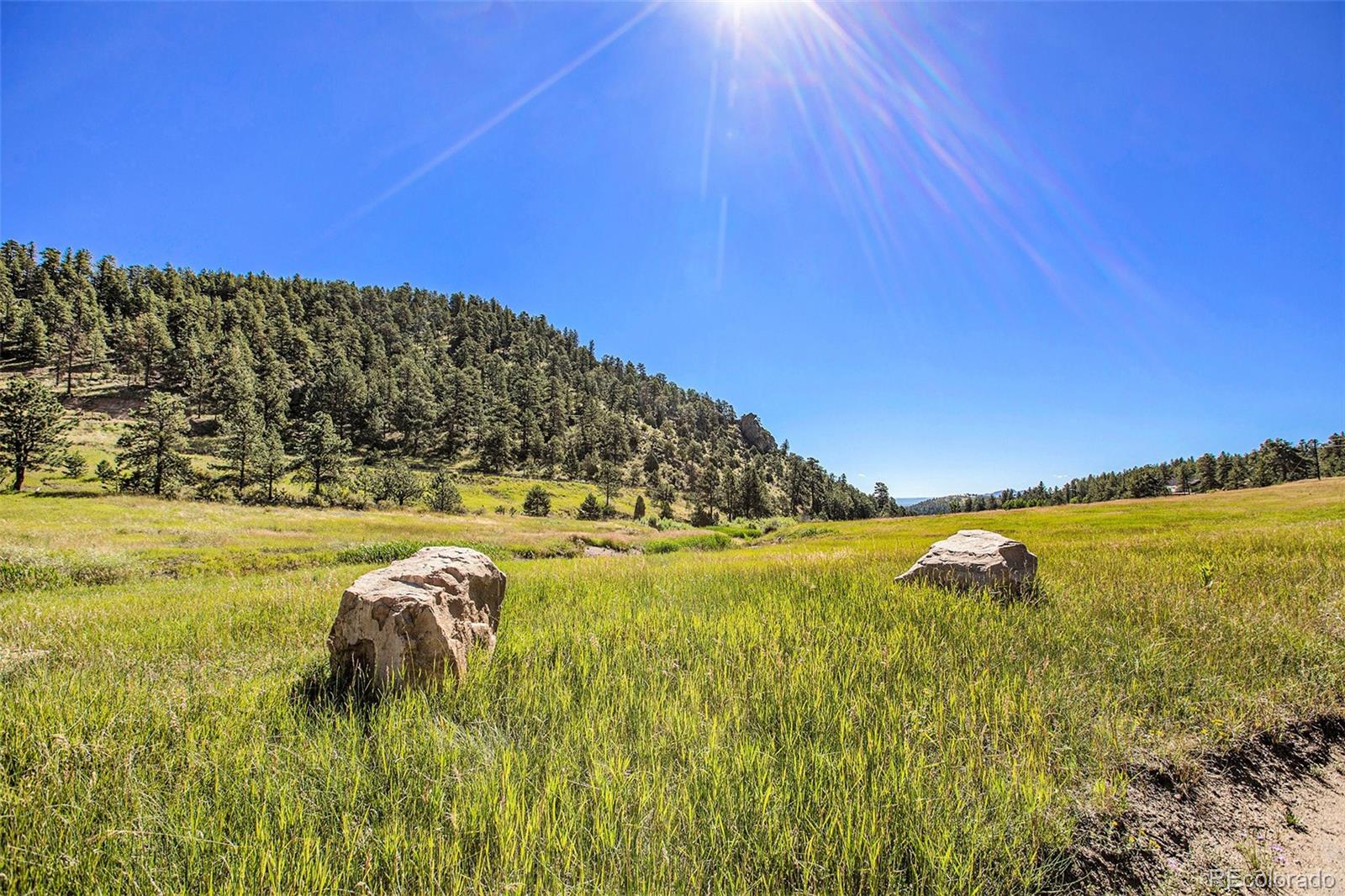 14334 Reserve Road Pine CO 80470