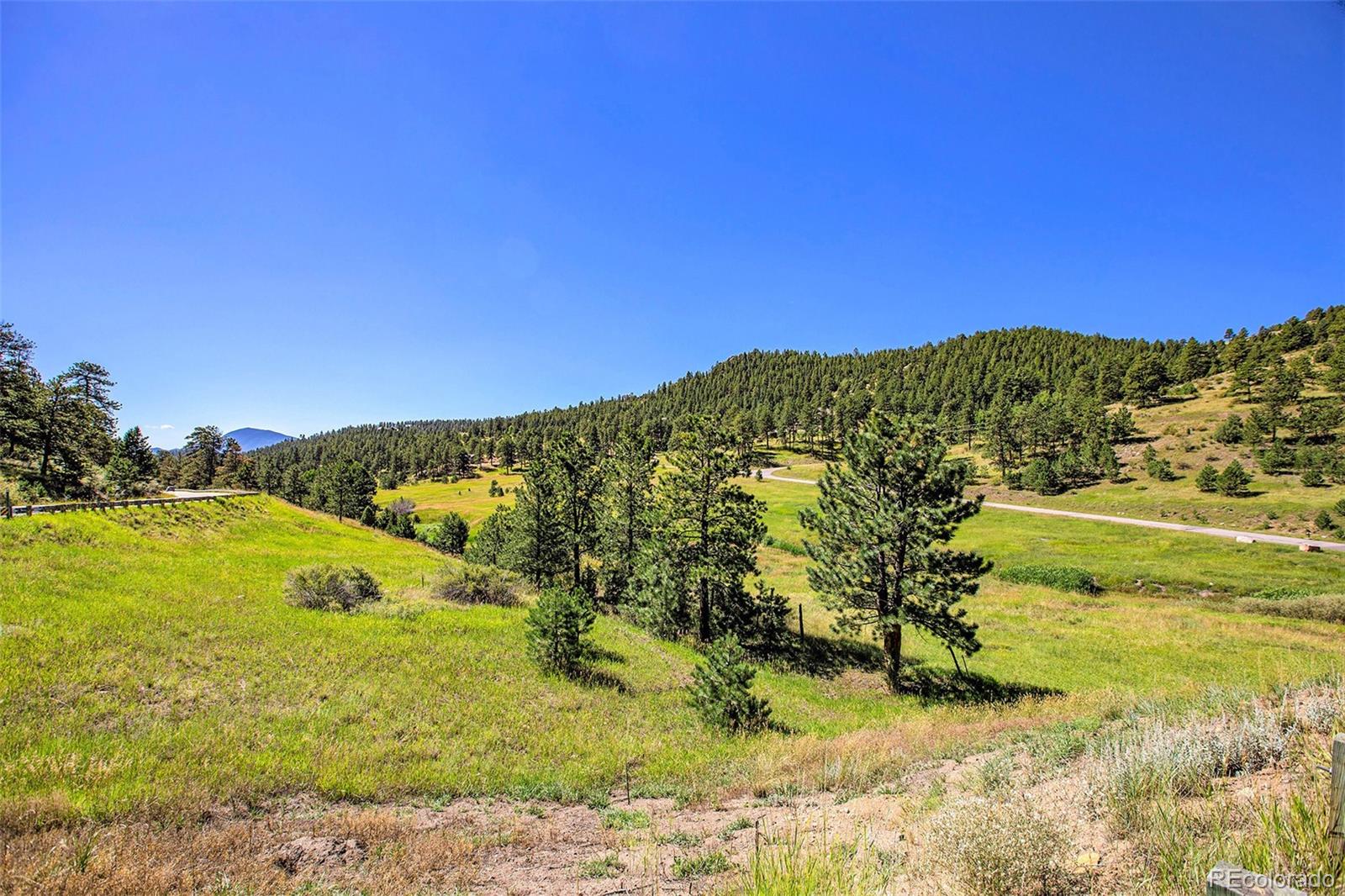 14334 Reserve Road Pine CO 80470