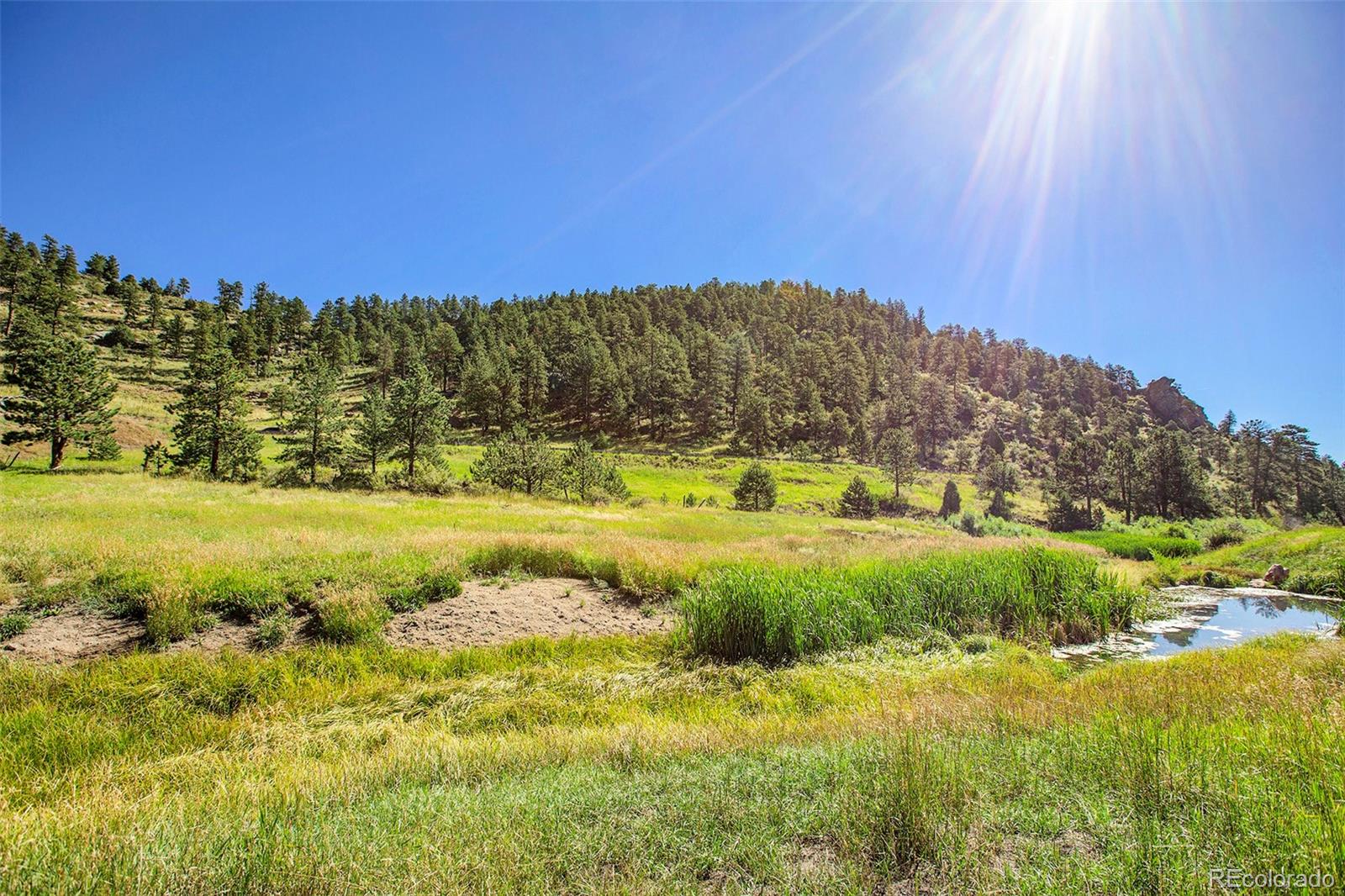 14334 Reserve Road Pine CO 80470