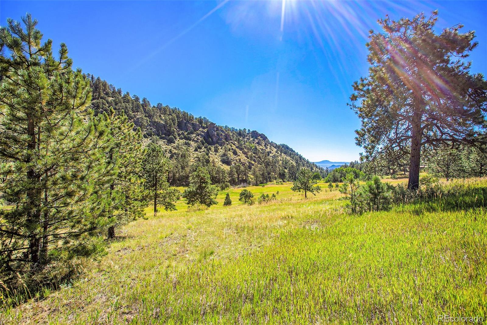 14334 Reserve Road Pine CO 80470