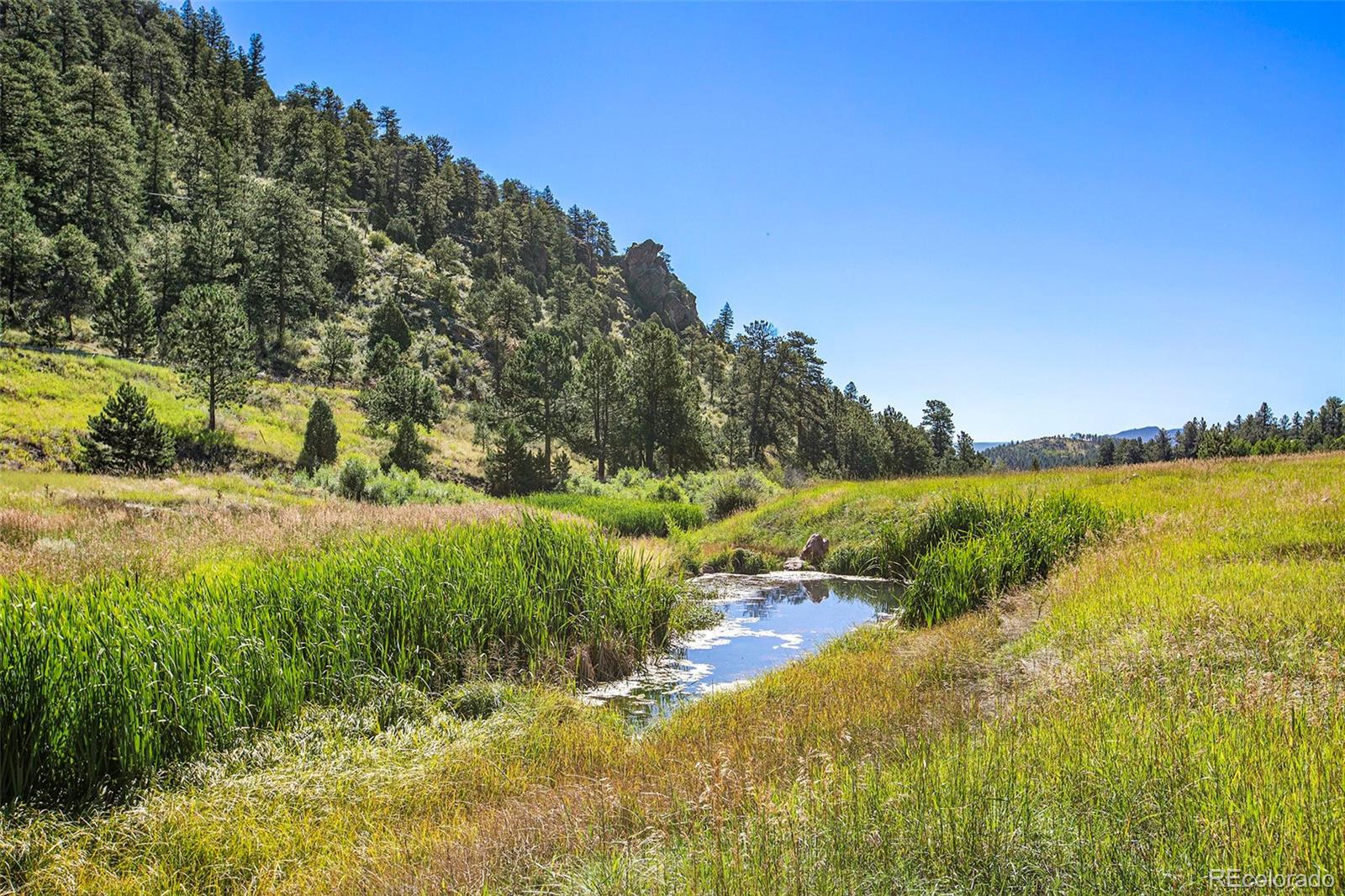 14334 Reserve Road Pine CO 80470