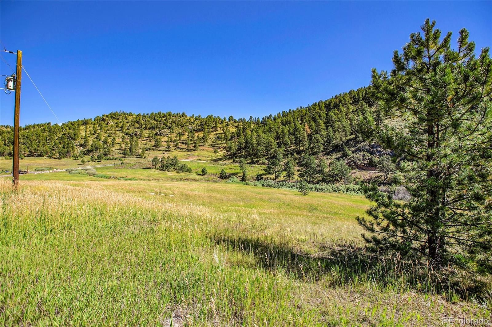 14334 Reserve Road Pine CO 80470