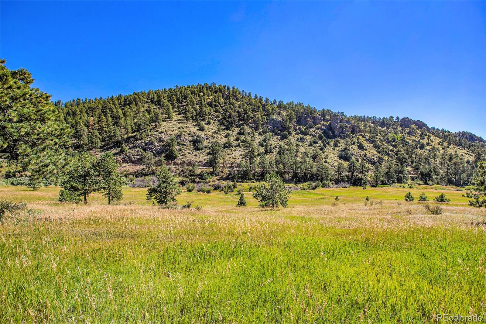 14334 Reserve Road Pine CO 80470