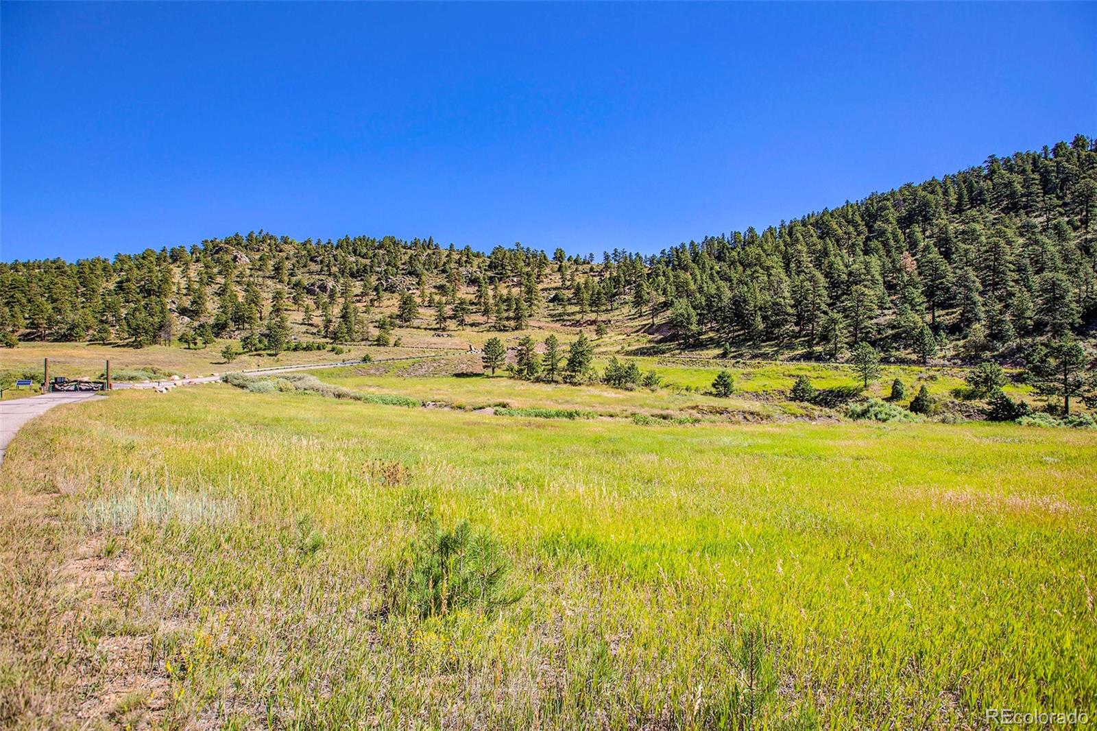 14334 Reserve Road Pine CO 80470