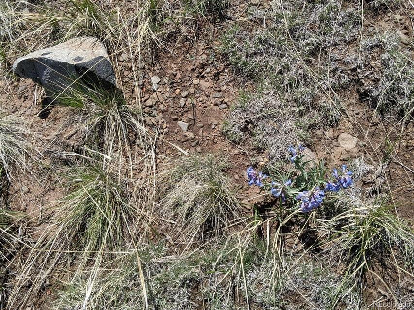 Majors Ranch, Lot 31-b Walsenburg CO 81089