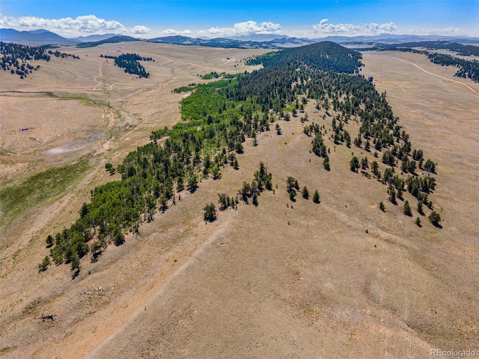 157 Crow Court Como CO 80432