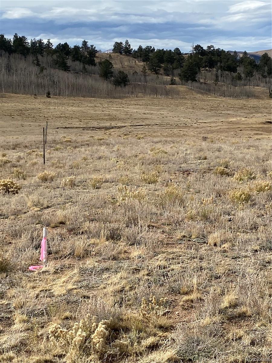 157 Crow Court Como CO 80432