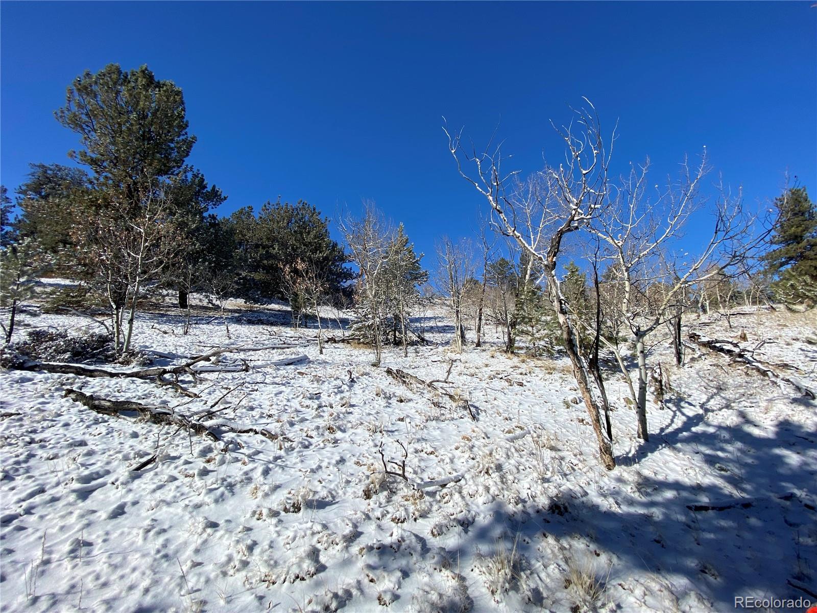 157 Crow Court Como CO 80432