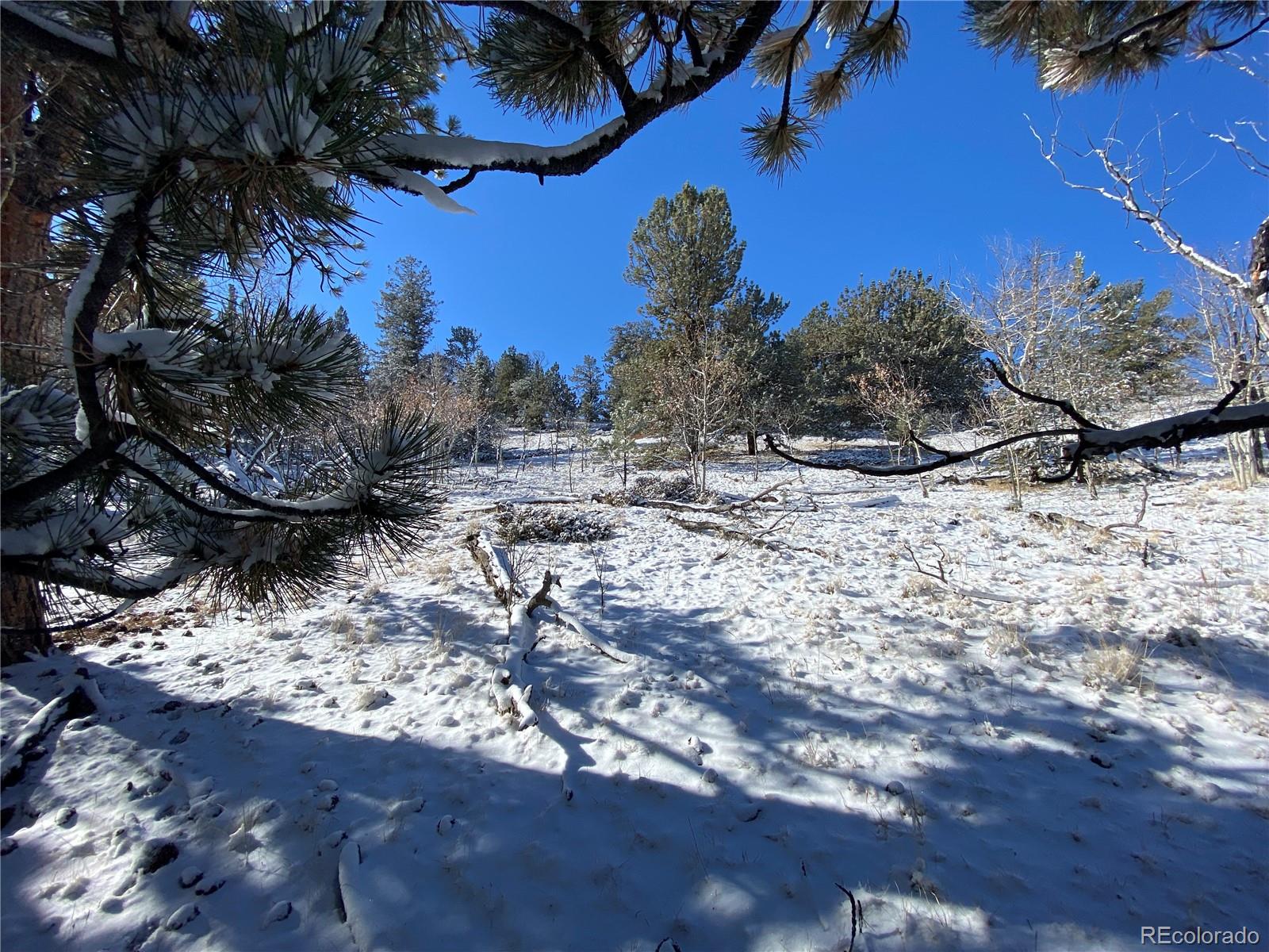 157 Crow Court Como CO 80432