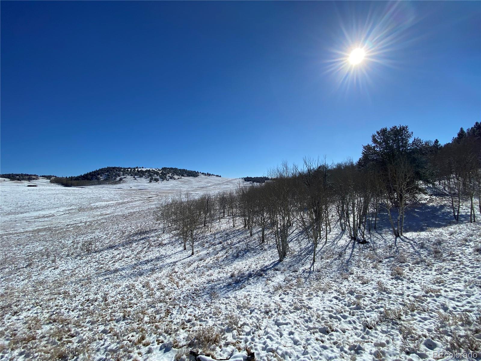 157 Crow Court Como CO 80432