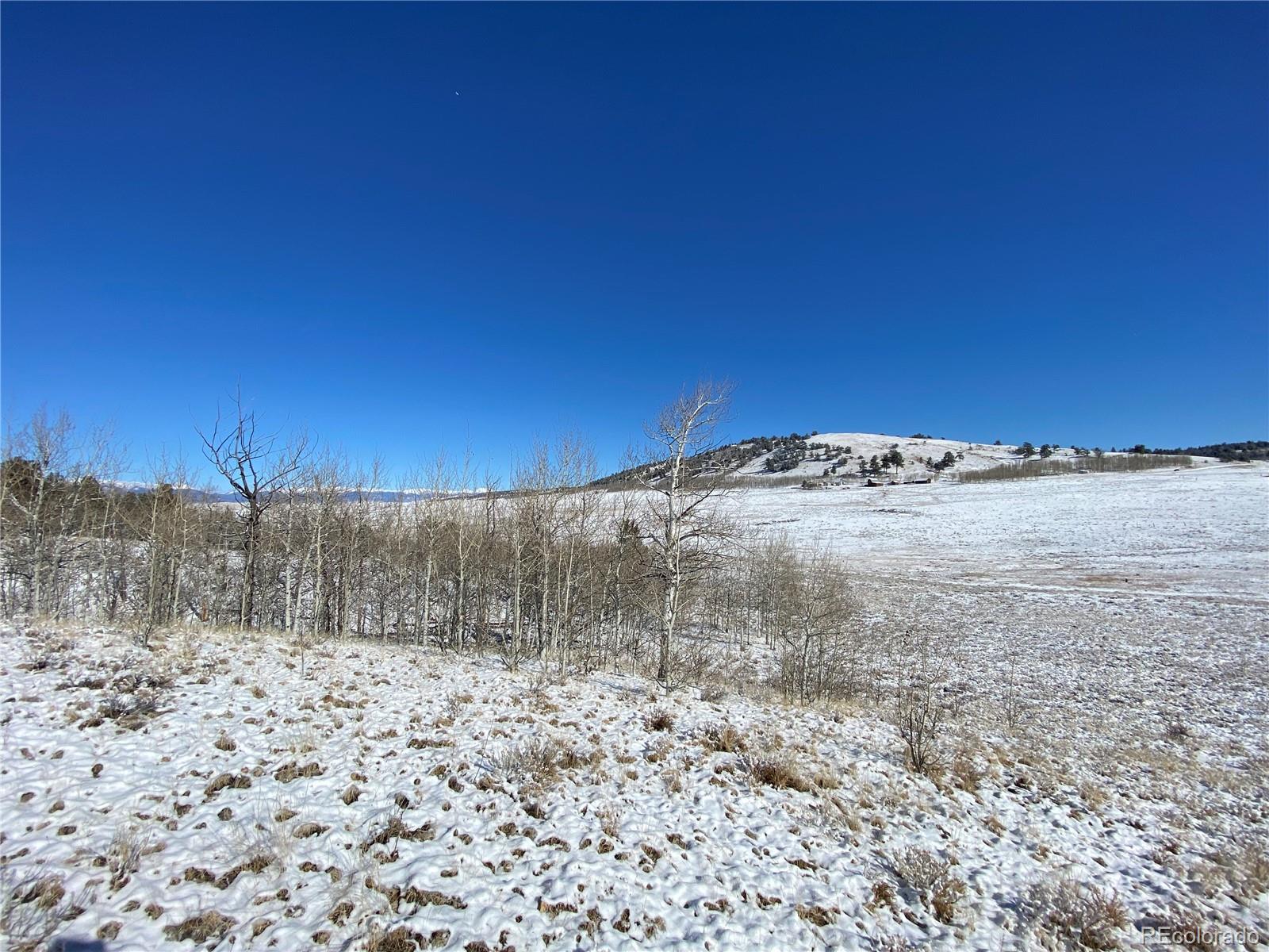 157 Crow Court Como CO 80432