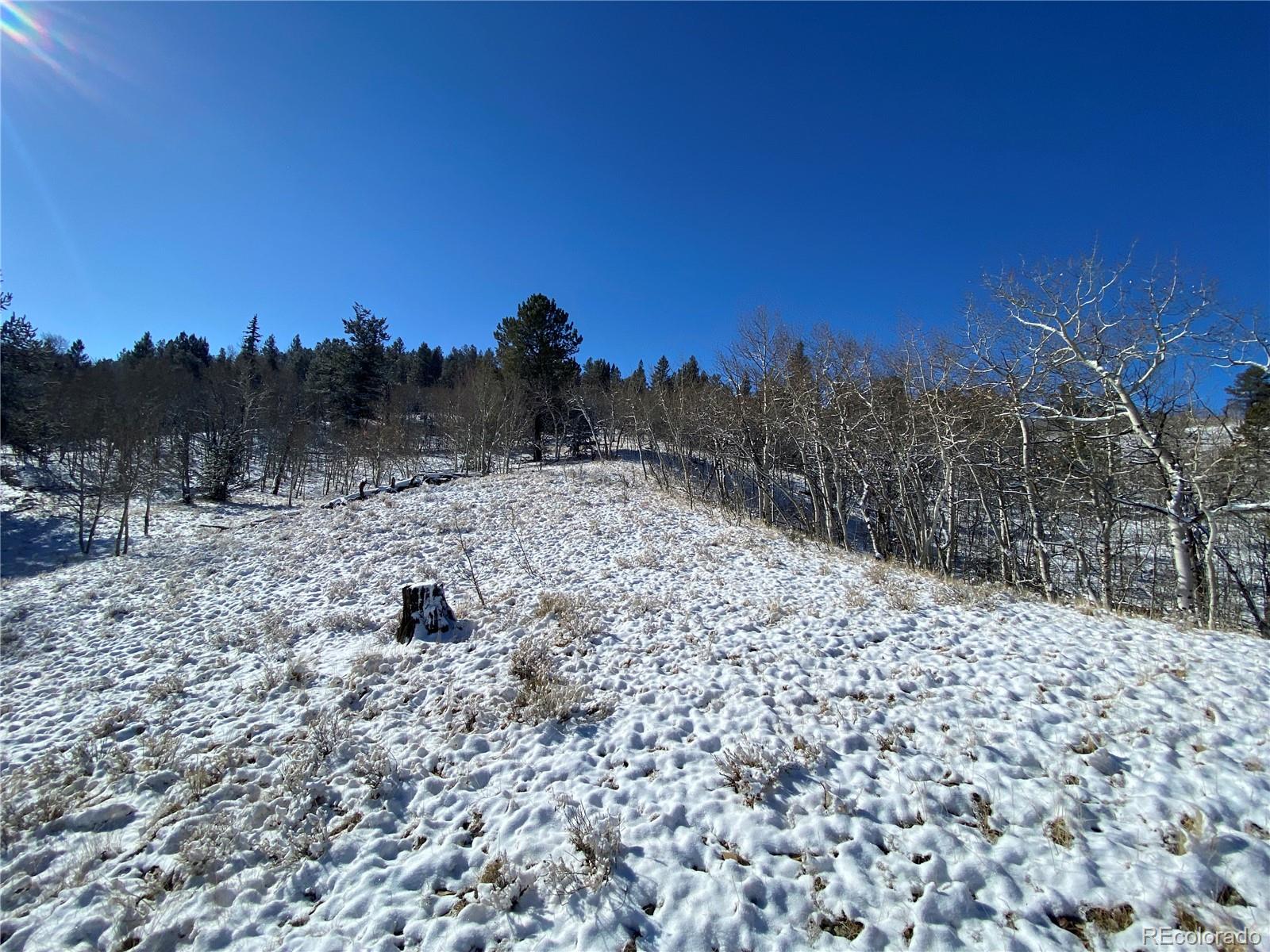 157 Crow Court Como CO 80432