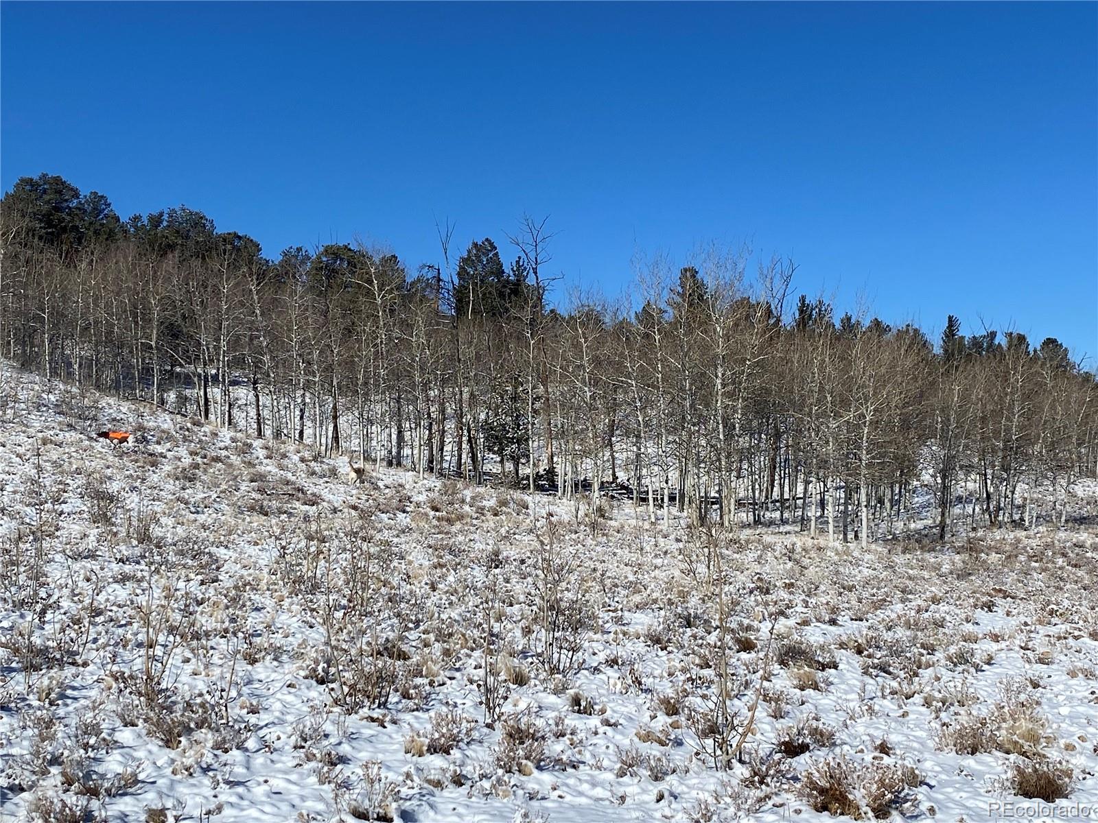 157 Crow Court Como CO 80432
