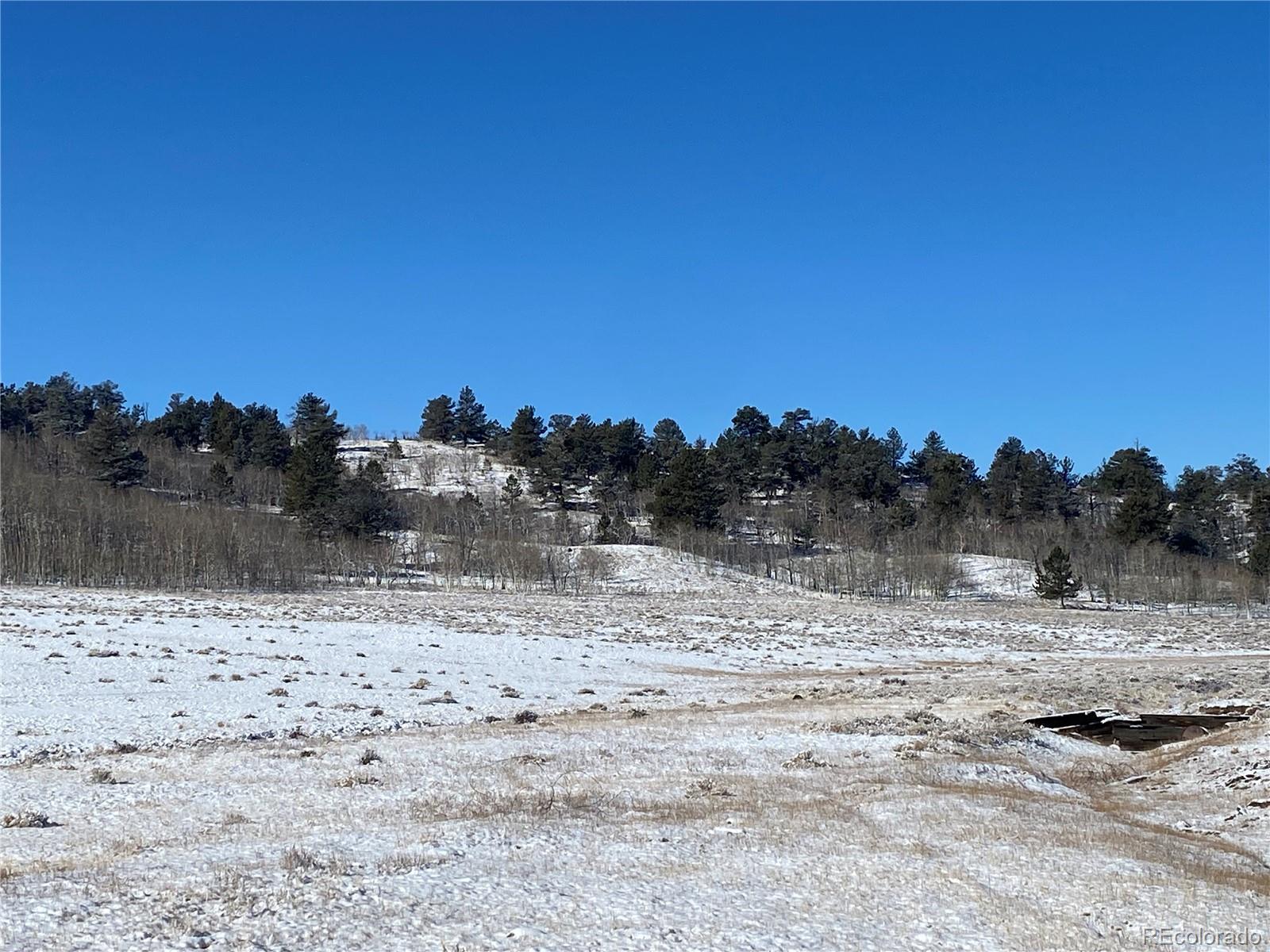157 Crow Court Como CO 80432