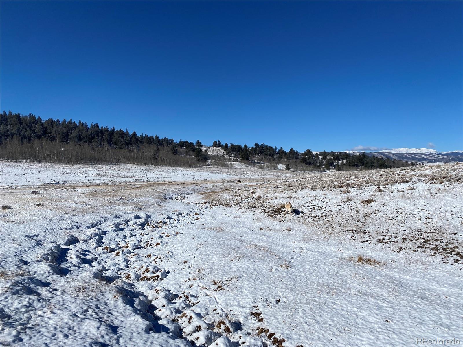 157 Crow Court Como CO 80432