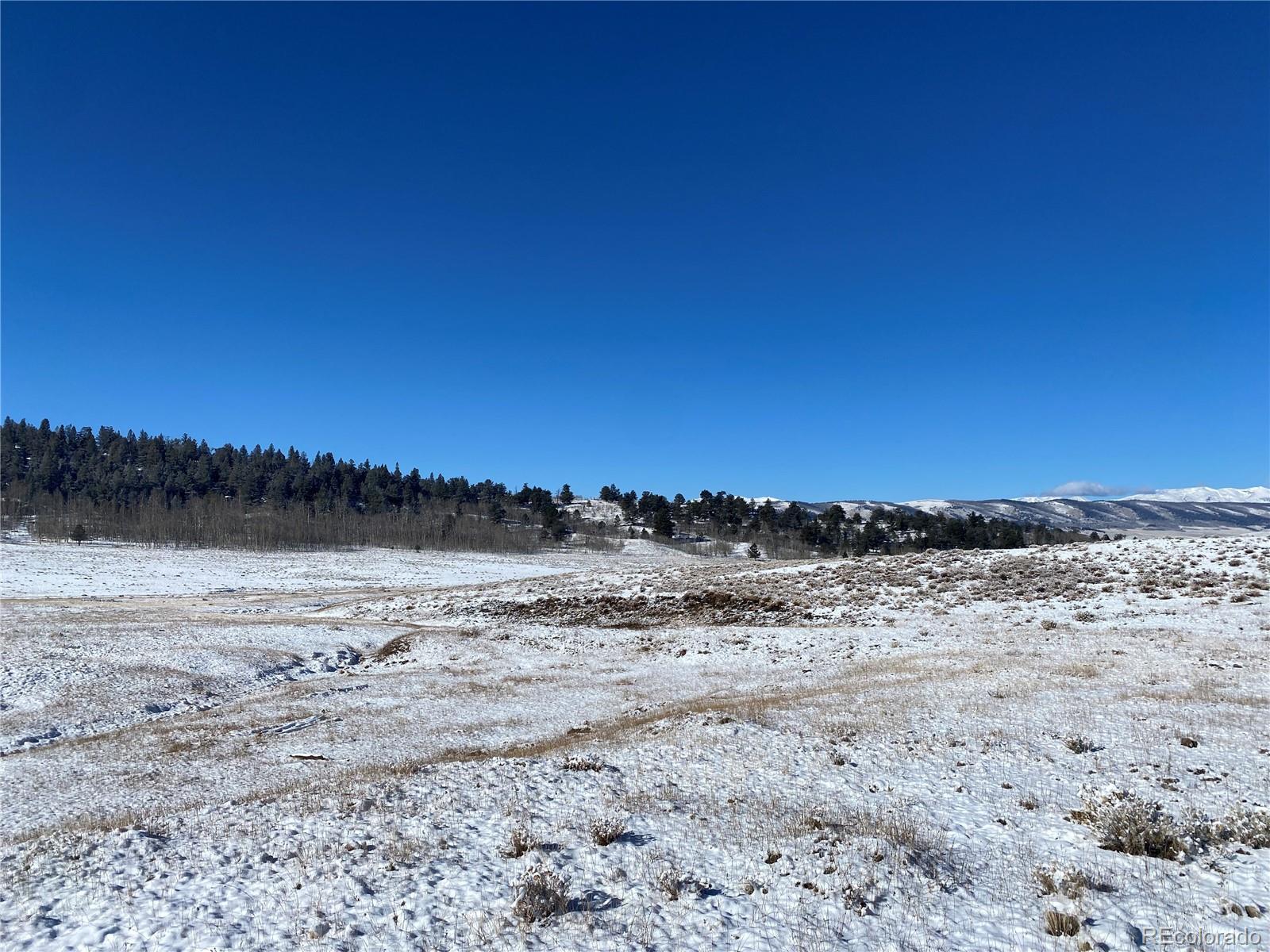 157 Crow Court Como CO 80432