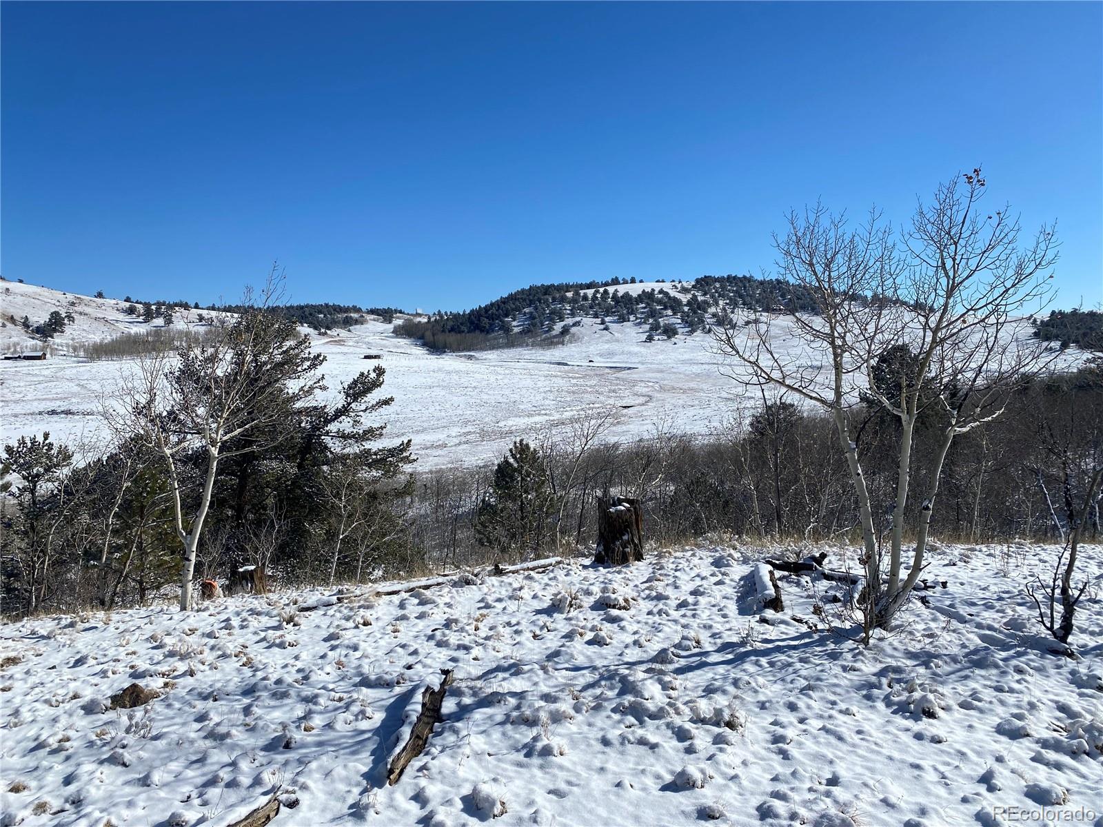 157 Crow Court Como CO 80432