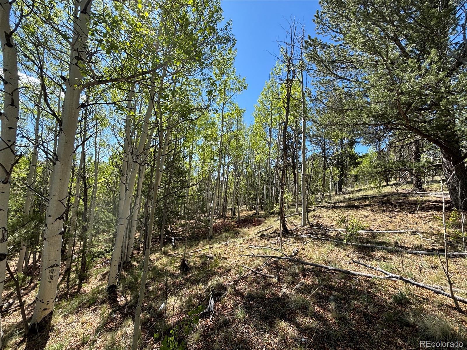 157 Crow Court Como CO 80432