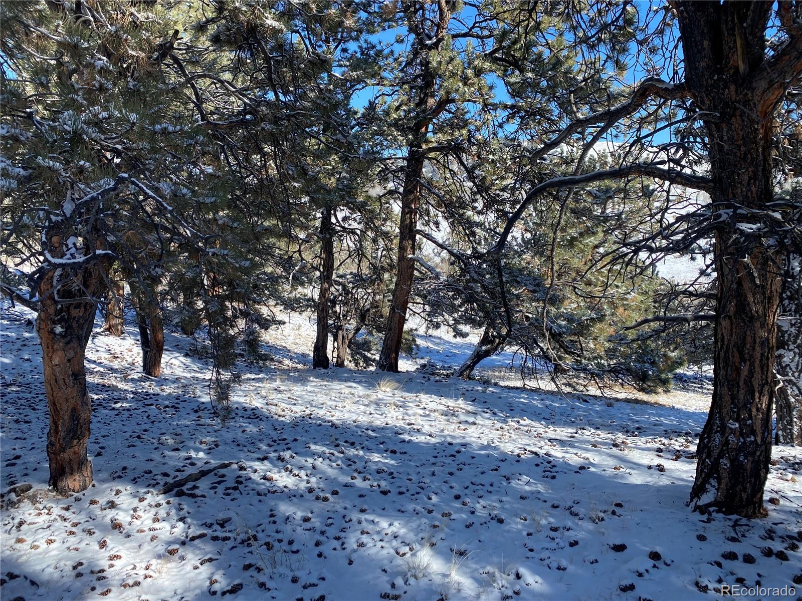 157 Crow Court Como CO 80432