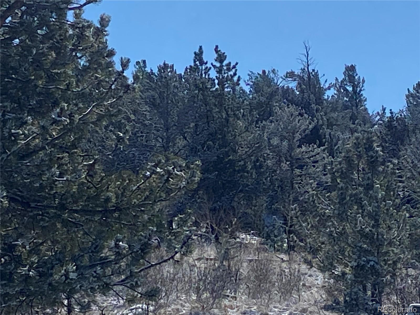 157 Crow Court Como CO 80432