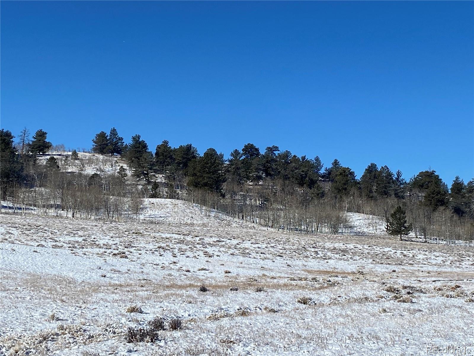 157 Crow Court Como CO 80432