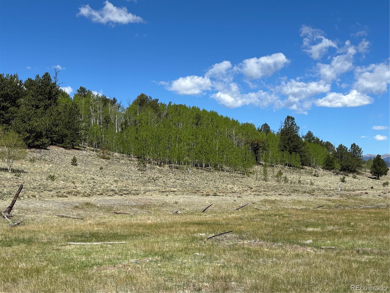 157 Crow Court Como CO 80432