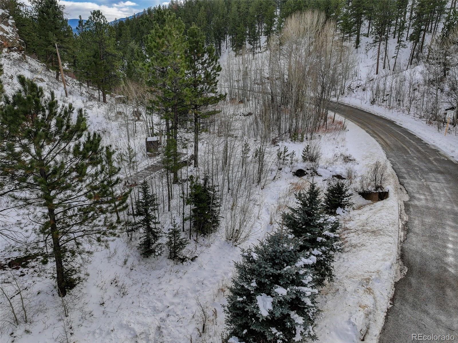 400 Crow Valley Road Bailey CO 80421