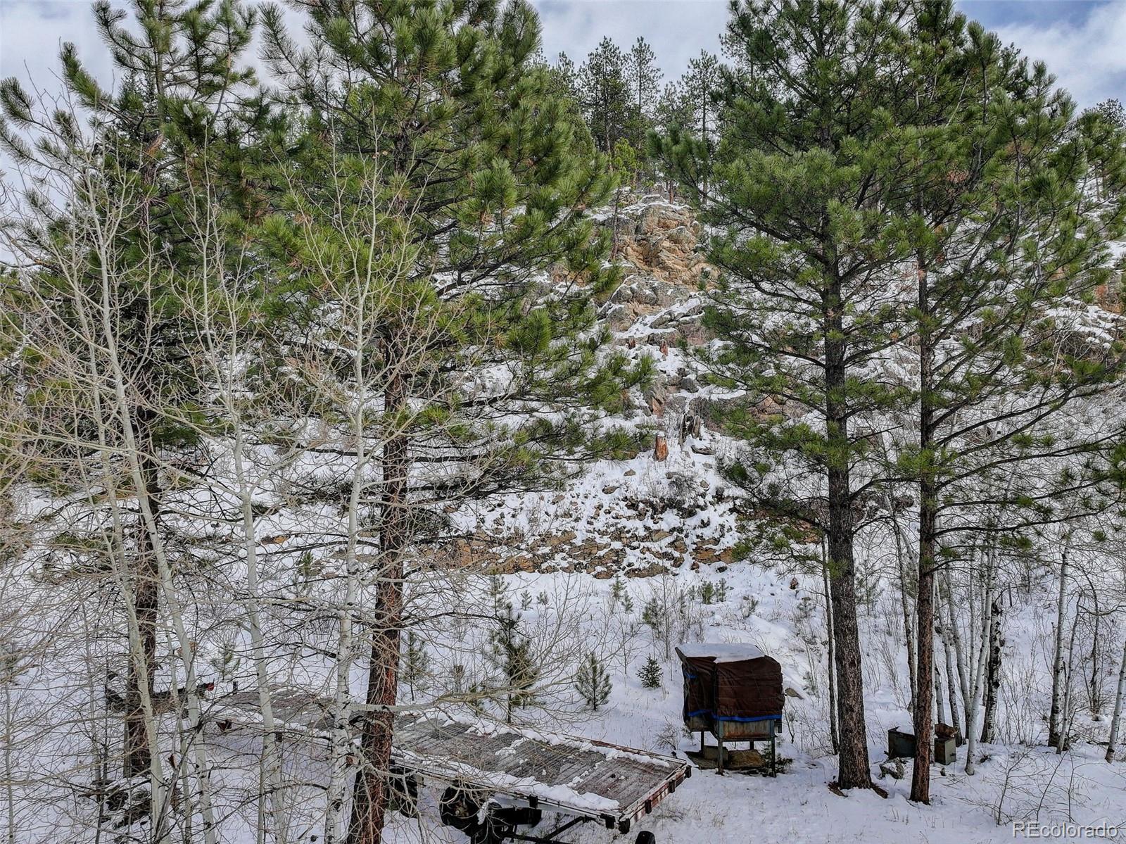 400 Crow Valley Road Bailey CO 80421