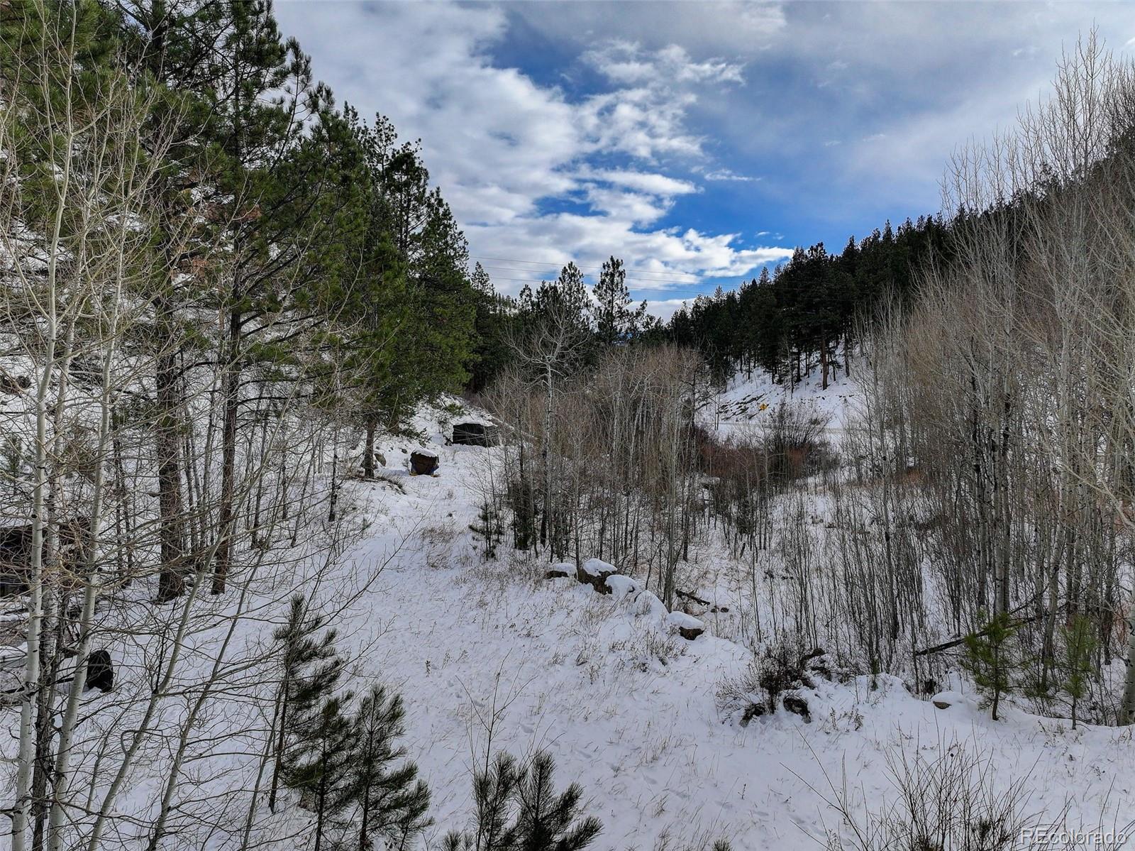 400 Crow Valley Road Bailey CO 80421