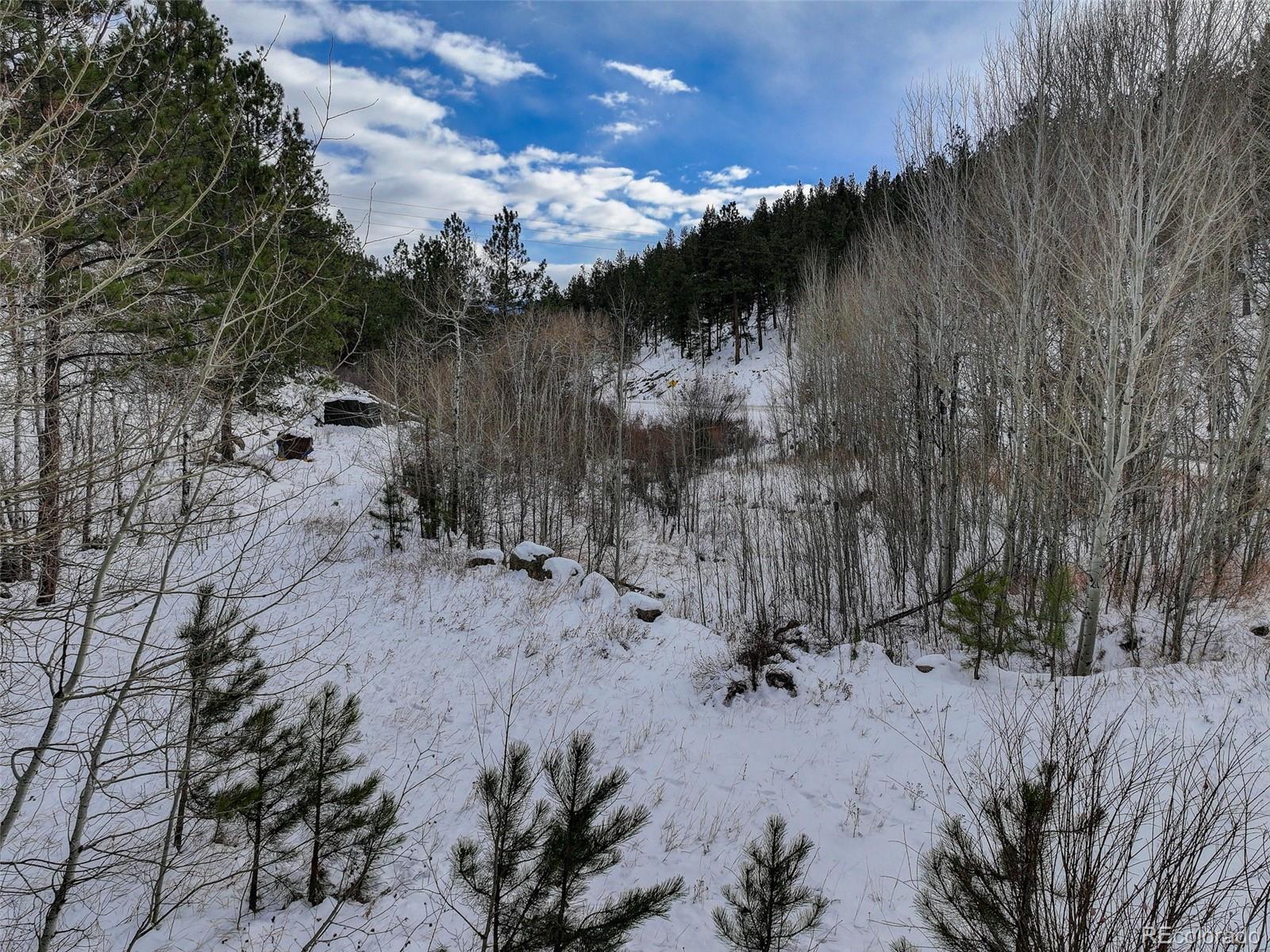 400 Crow Valley Road Bailey CO 80421