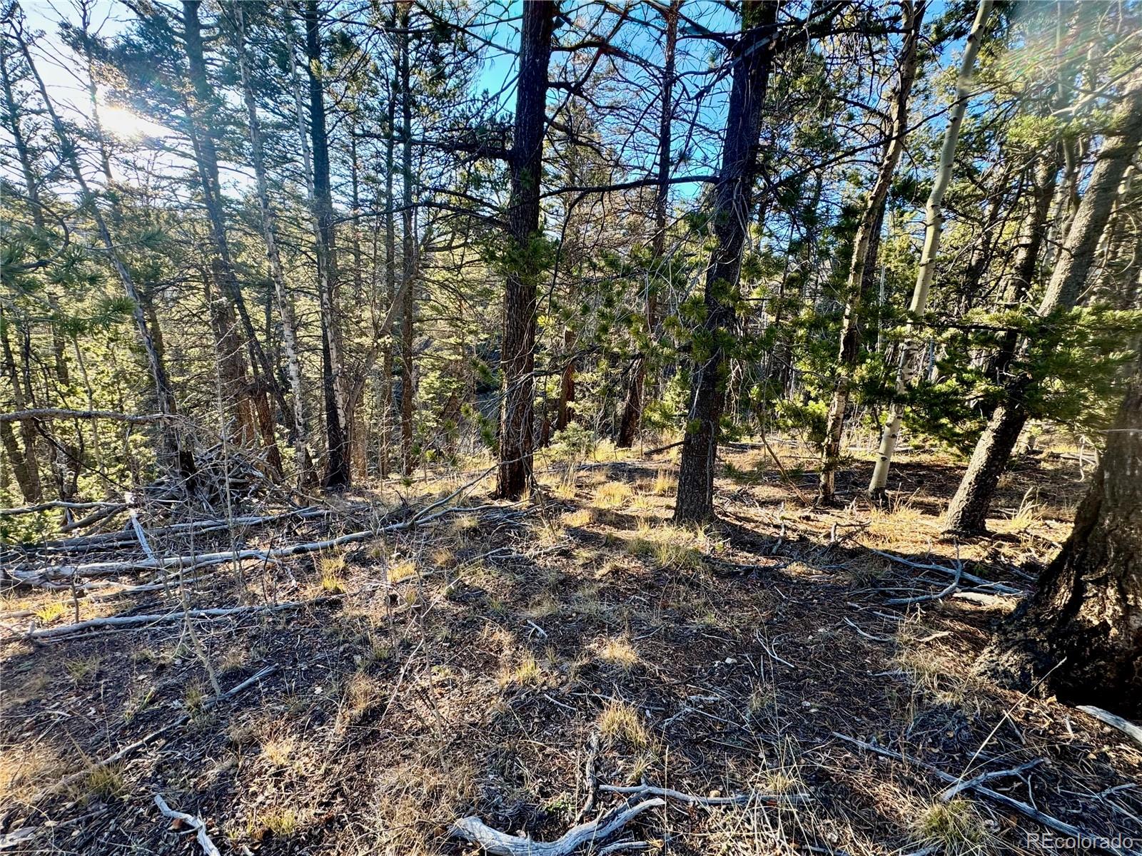 Lot 5888 Loubier Road Fort Garland CO 81152