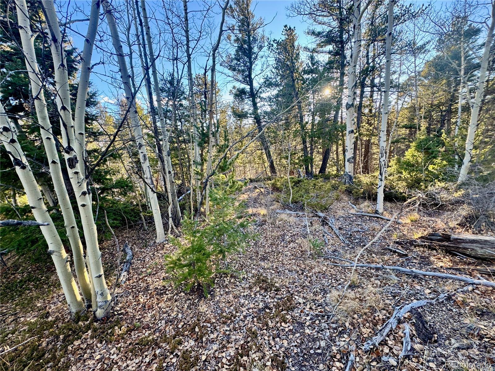 Lot 5888 Loubier Road Fort Garland CO 81152